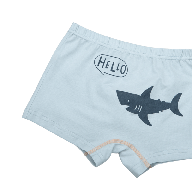 AMIR BOXER BRIEFS FOR BOYS