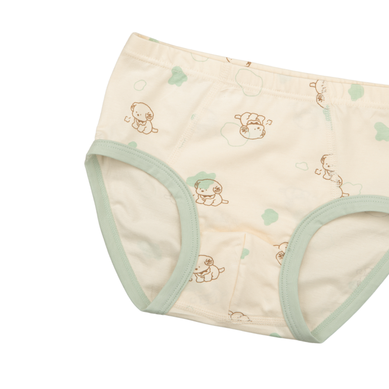 DEX Briefs for Boys