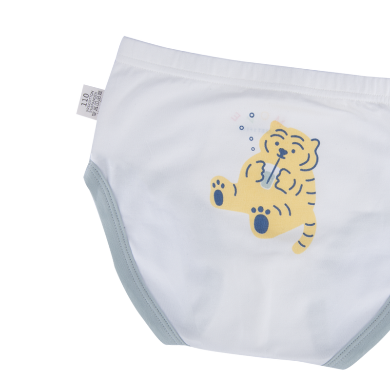 CODY Briefs for Boys