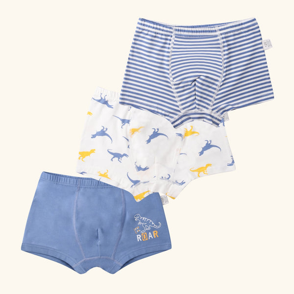 LYRIC Boxer Briefs for Boys