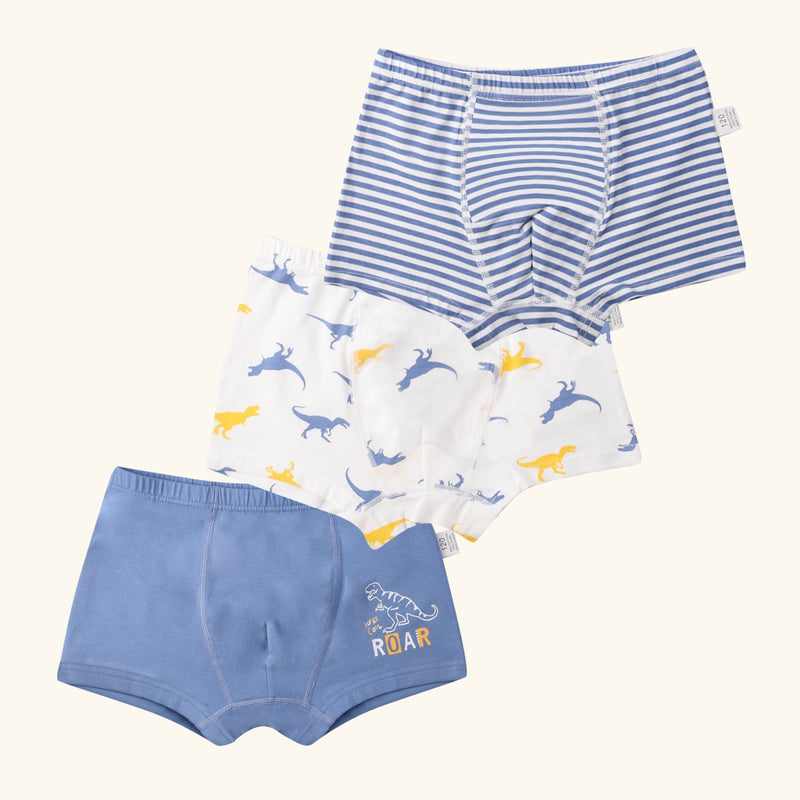 LYRIC Boxer Briefs for Boys