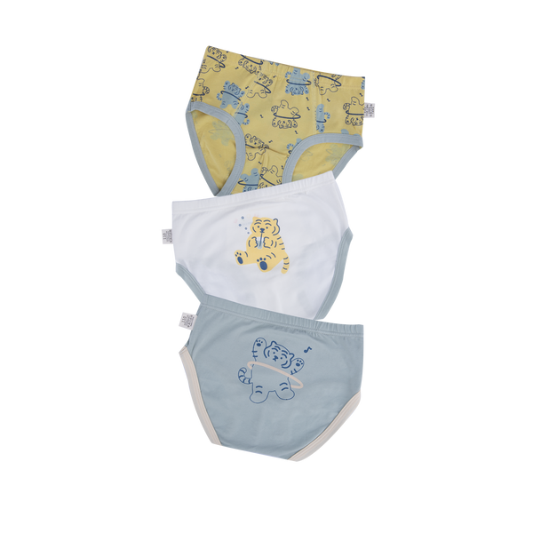 CODY Briefs for Boys