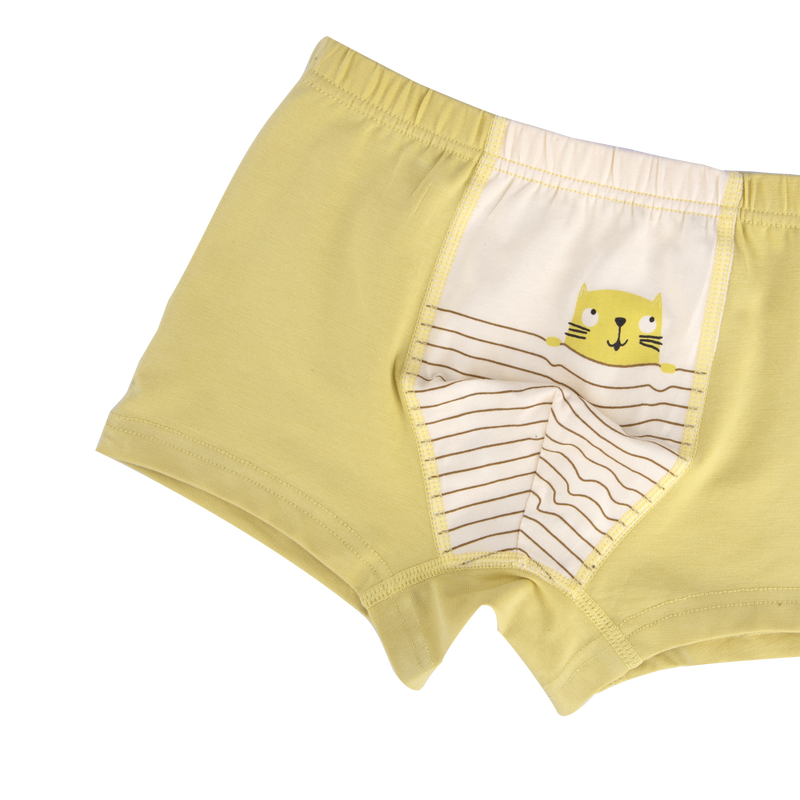 AVERY BOXER BRIEFS FOR BOYS