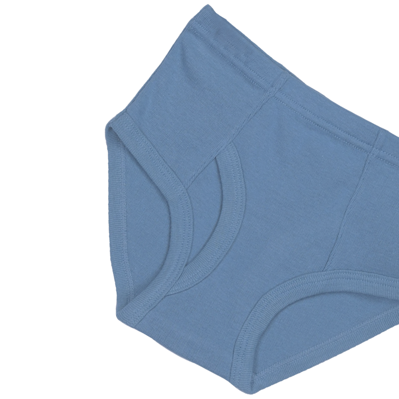 THREE-PACK BRIEFS NAVY/BLUE/GREEN