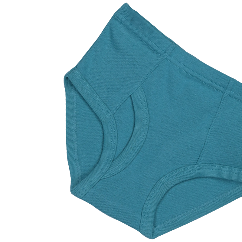 THREE-PACK BRIEFS NAVY/BLUE/GREEN