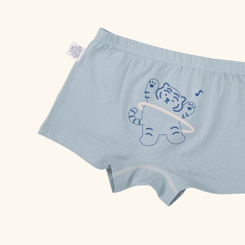 CHARLIE BOXER BRIEFS FOR BOYS