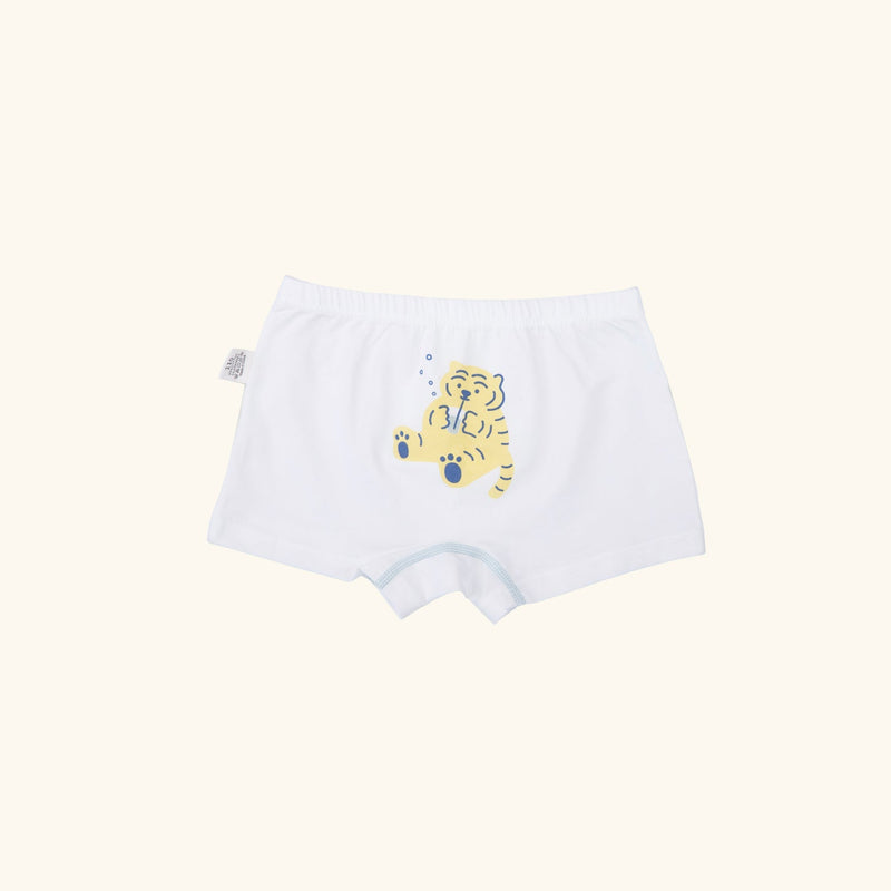 CHARLIE BOXER BRIEFS FOR BOYS