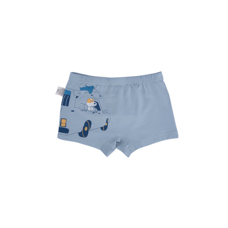 AUSTIN BOXER BRIEFS FOR BOYS