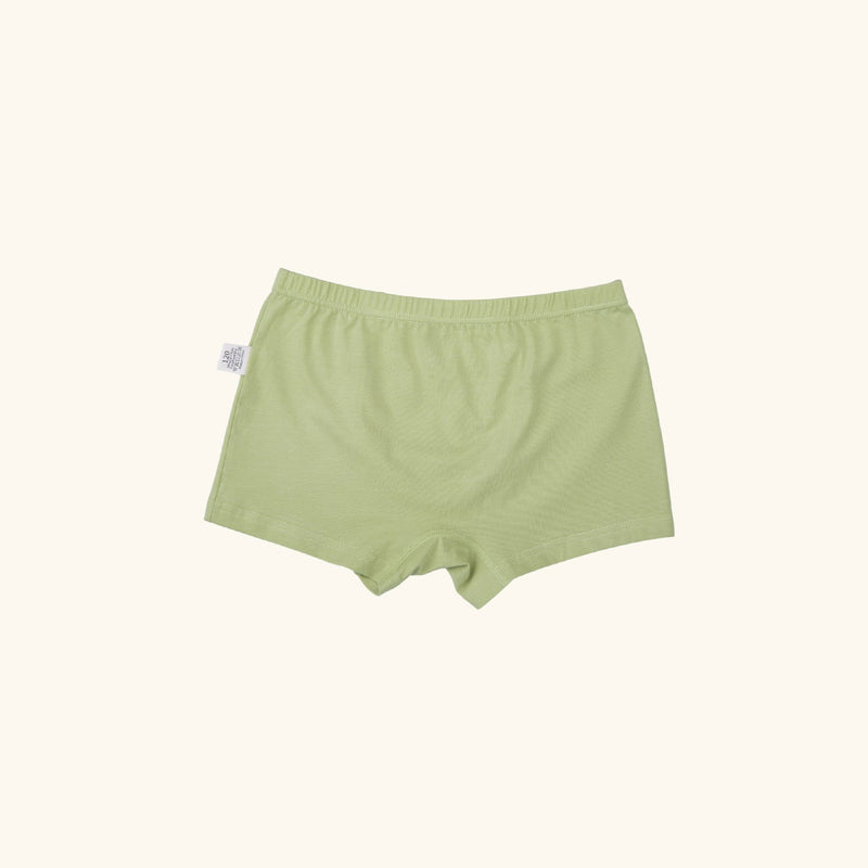 KENNEDI BOXER BRIEFS FOR BOYS