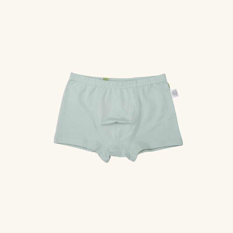 KENNEDI BOXER BRIEFS FOR BOYS