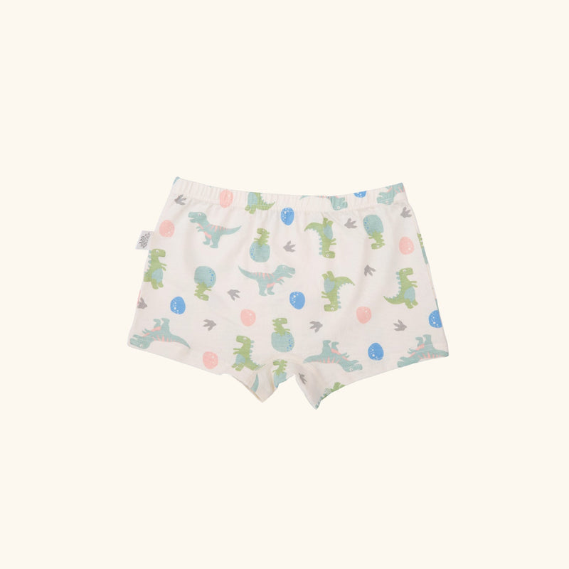 KENNEDI BOXER BRIEFS FOR BOYS