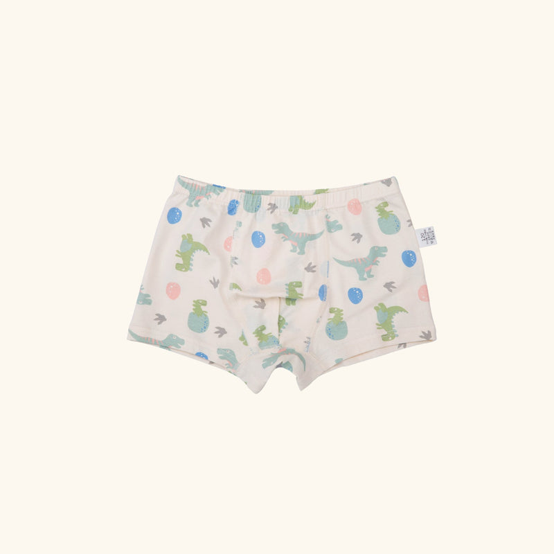 KENNEDI BOXER BRIEFS FOR BOYS