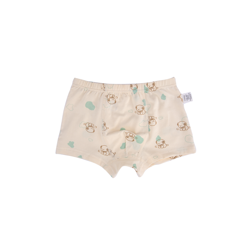 AVERY BOXER BRIEFS FOR BOYS