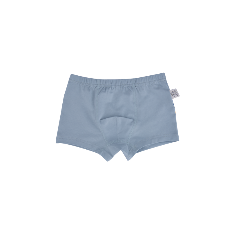AUSTIN BOXER BRIEFS FOR BOYS