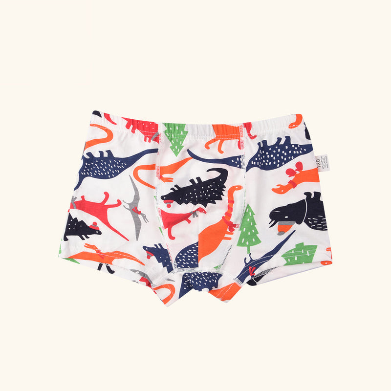 HARP Boxer Briefs for Boys