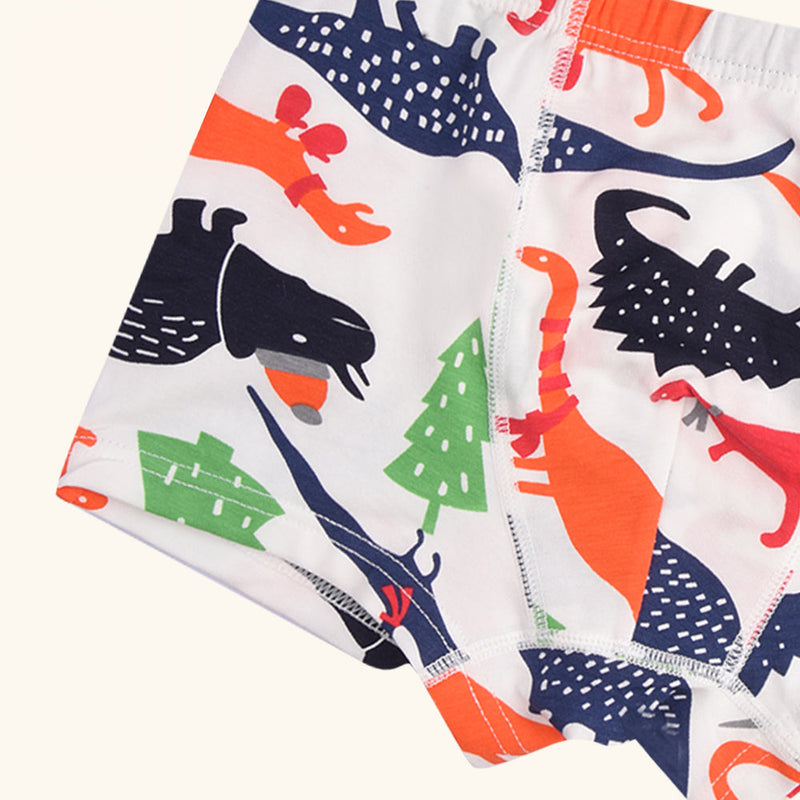 HARP Boxer Briefs for Boys