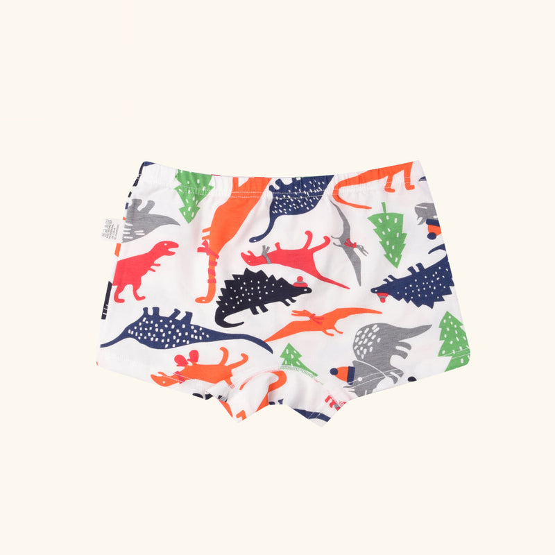 HARP Boxer Briefs for Boys