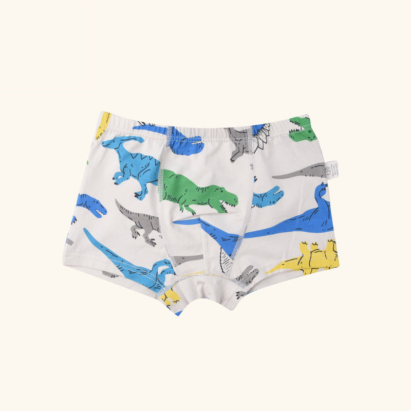 HARP Boxer Briefs for Boys