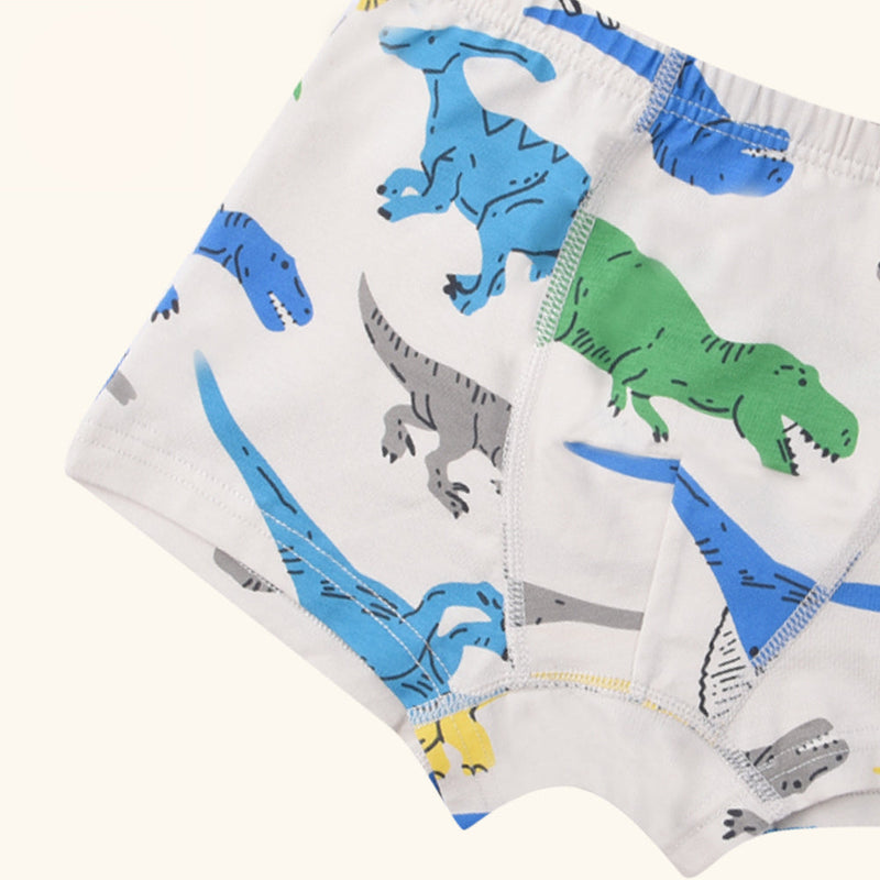 HARP Boxer Briefs for Boys
