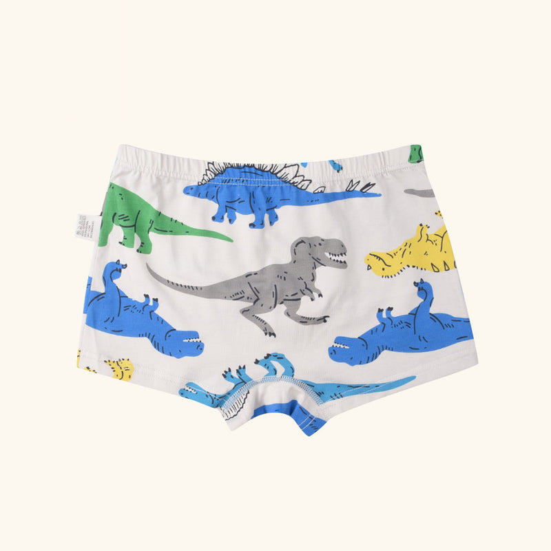 HARP Boxer Briefs for Boys