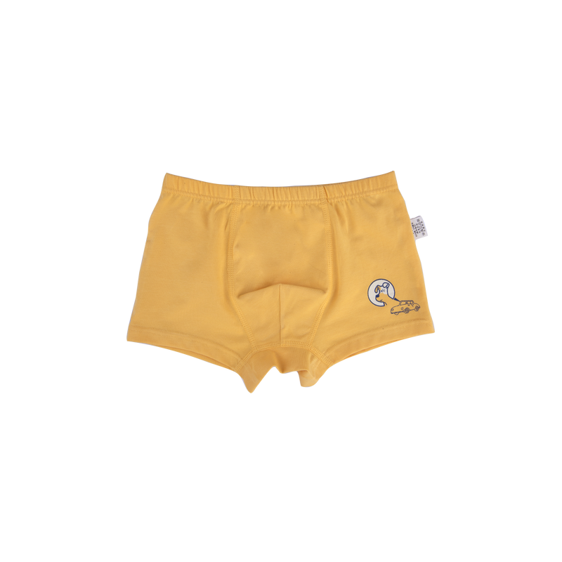 AUSTIN BOXER BRIEFS FOR BOYS