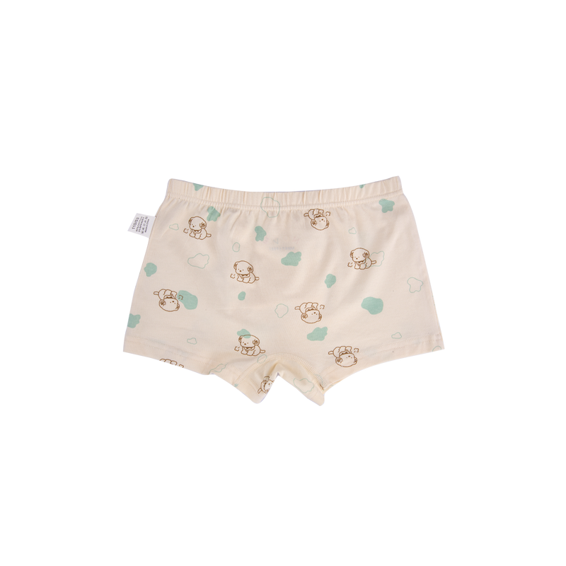 AVERY BOXER BRIEFS FOR BOYS