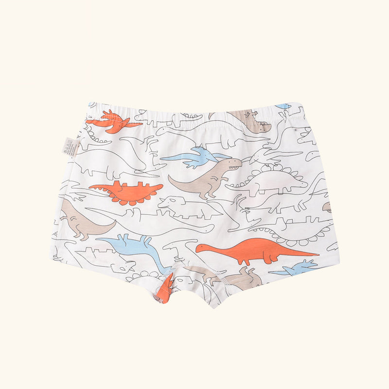 HARP Boxer Briefs for Boys