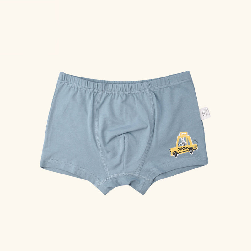 MANDOLIN Boxer Briefs for Boys