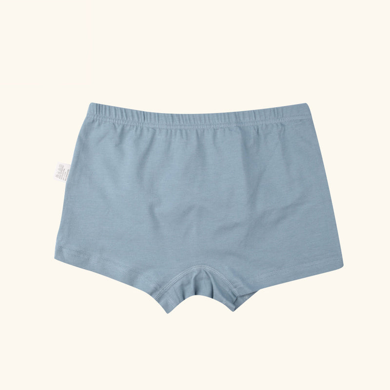 MANDOLIN Boxer Briefs for Boys