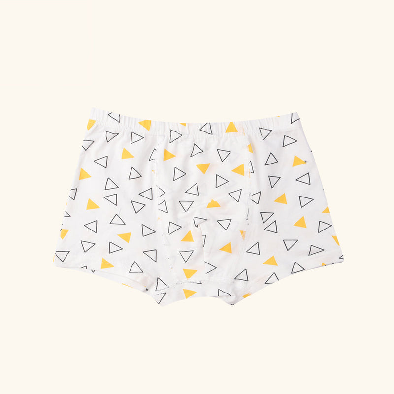 MANDOLIN Boxer Briefs for Boys
