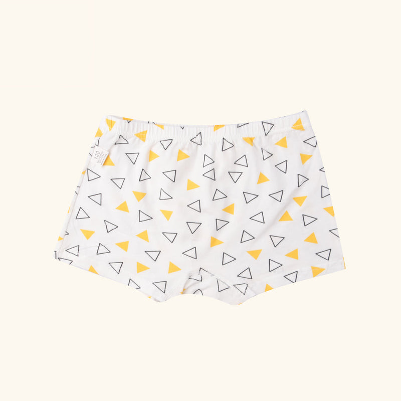 MANDOLIN Boxer Briefs for Boys