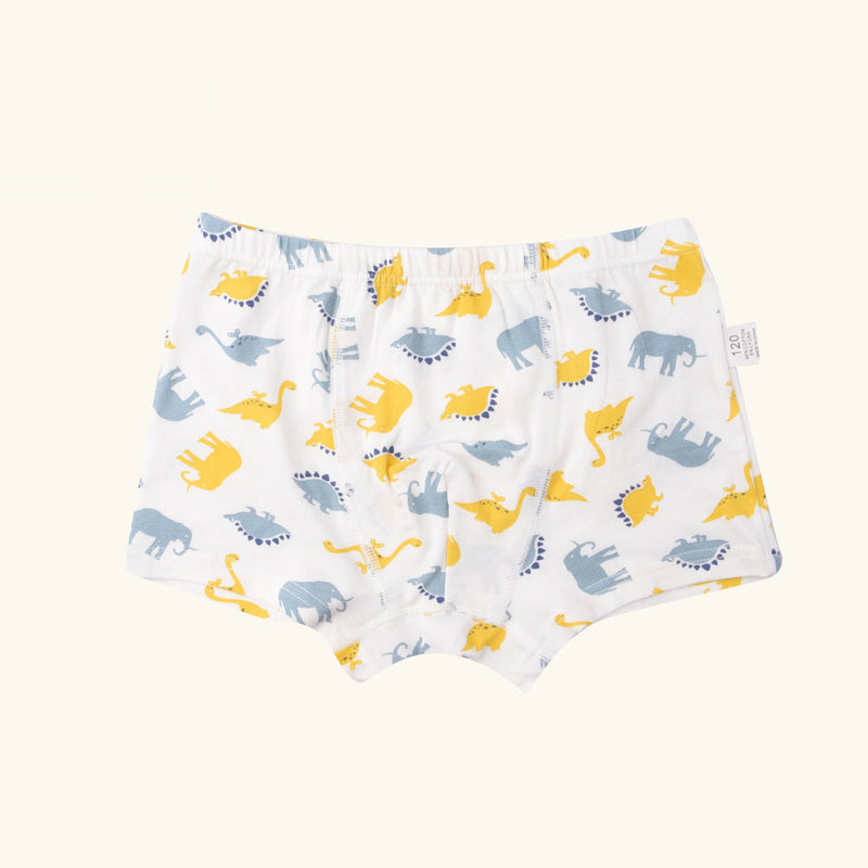 MANDOLIN Boxer Briefs for Boys