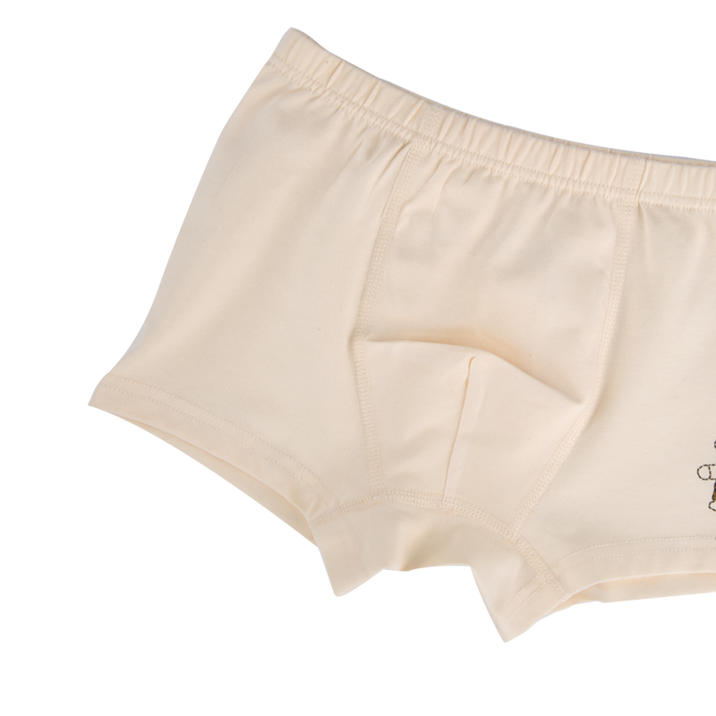 AVERY BOXER BRIEFS FOR BOYS