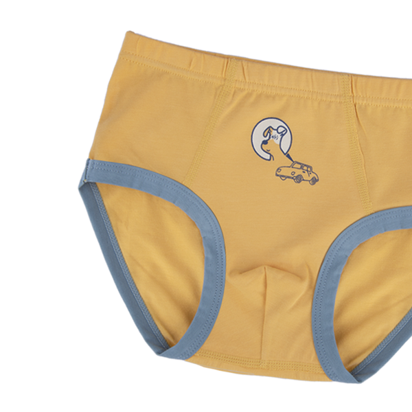 CHASE Briefs for Boys
