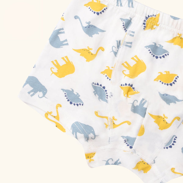 MANDOLIN Boxer Briefs for Boys