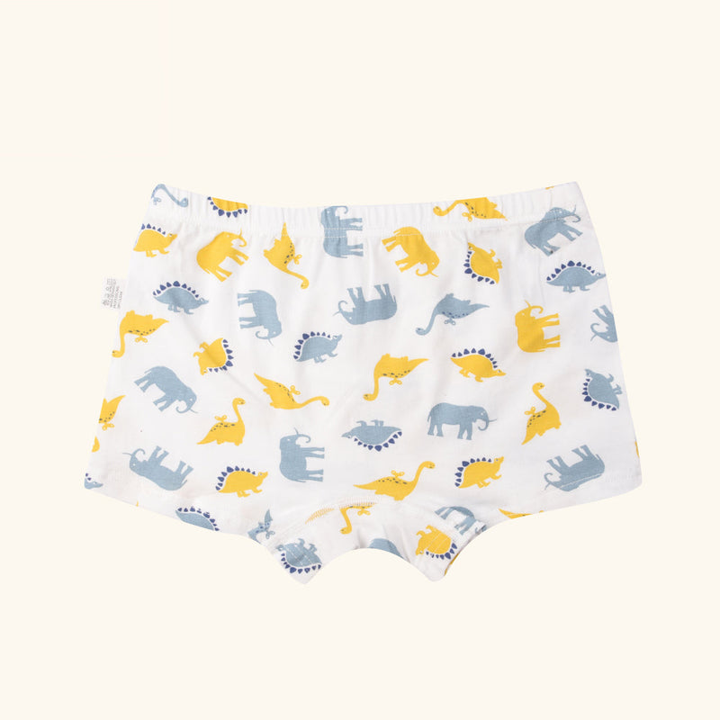 MANDOLIN Boxer Briefs for Boys