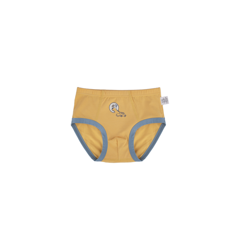CHASE Briefs for Boys