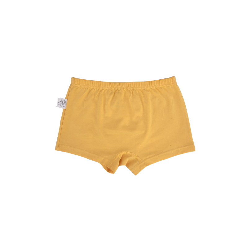 AUSTIN BOXER BRIEFS FOR BOYS