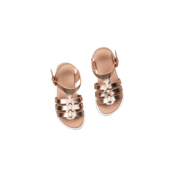 ABI Rose Gold