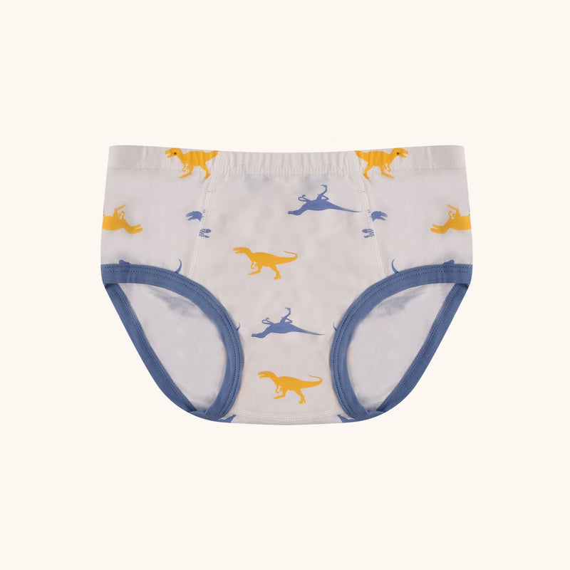 ASTOR Briefs for Boys