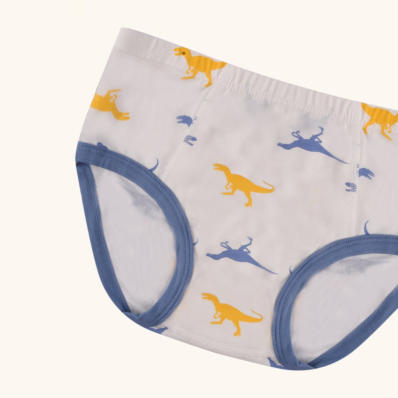 ASTOR Briefs for Boys