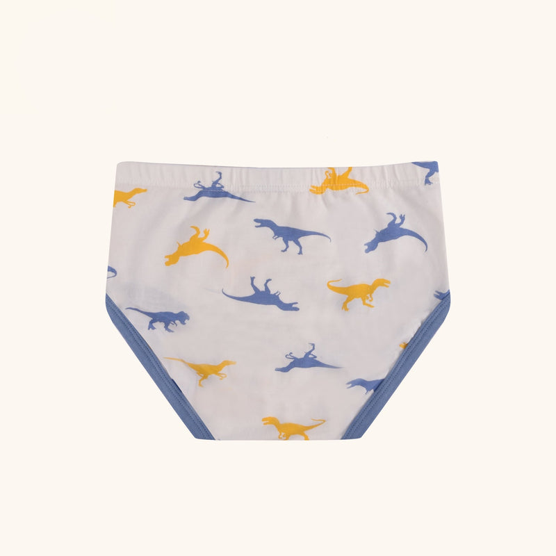 ASTOR Briefs for Boys