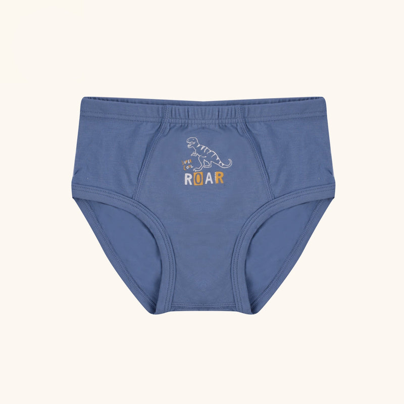 ASTOR Briefs for Boys