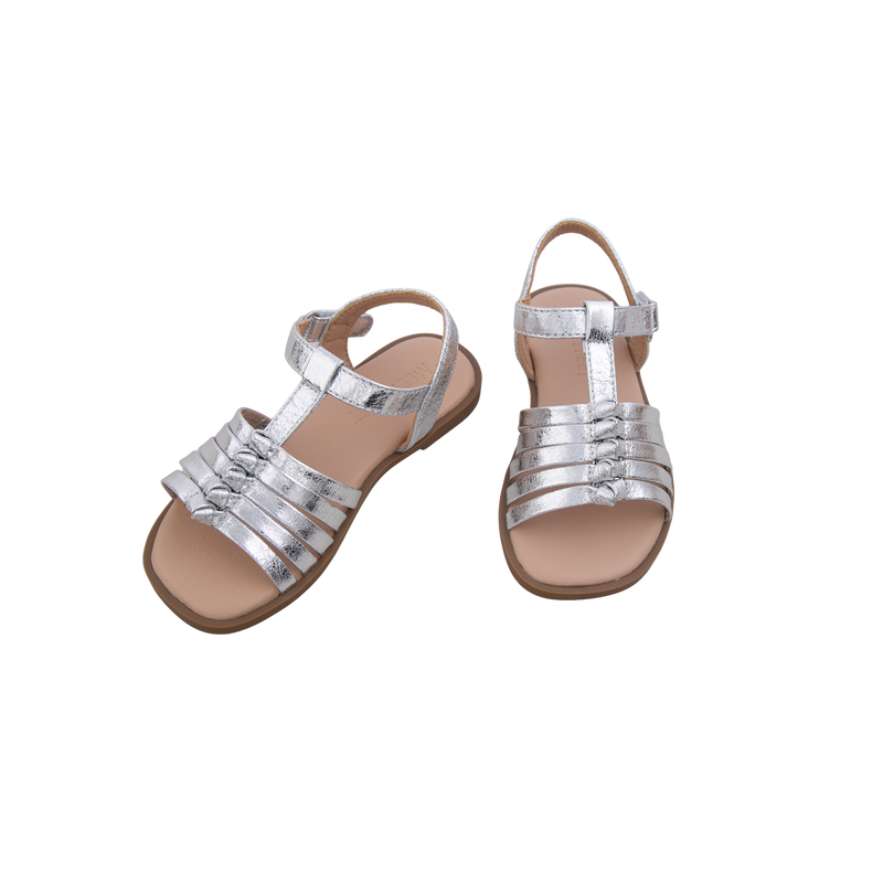 BRILEY Silver
