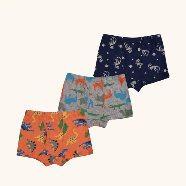 BRIO Boxer Briefs for Boys