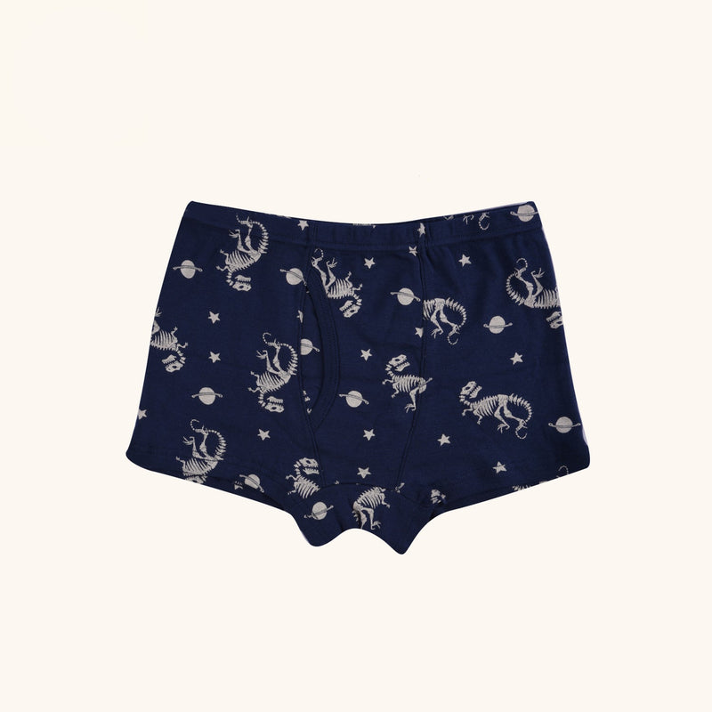BRIO Boxer Briefs for Boys