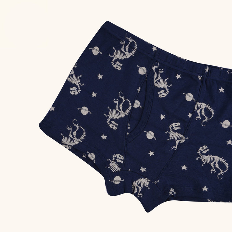 BRIO Boxer Briefs for Boys