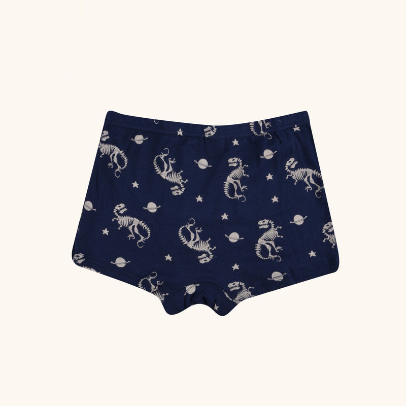 BRIO Boxer Briefs for Boys
