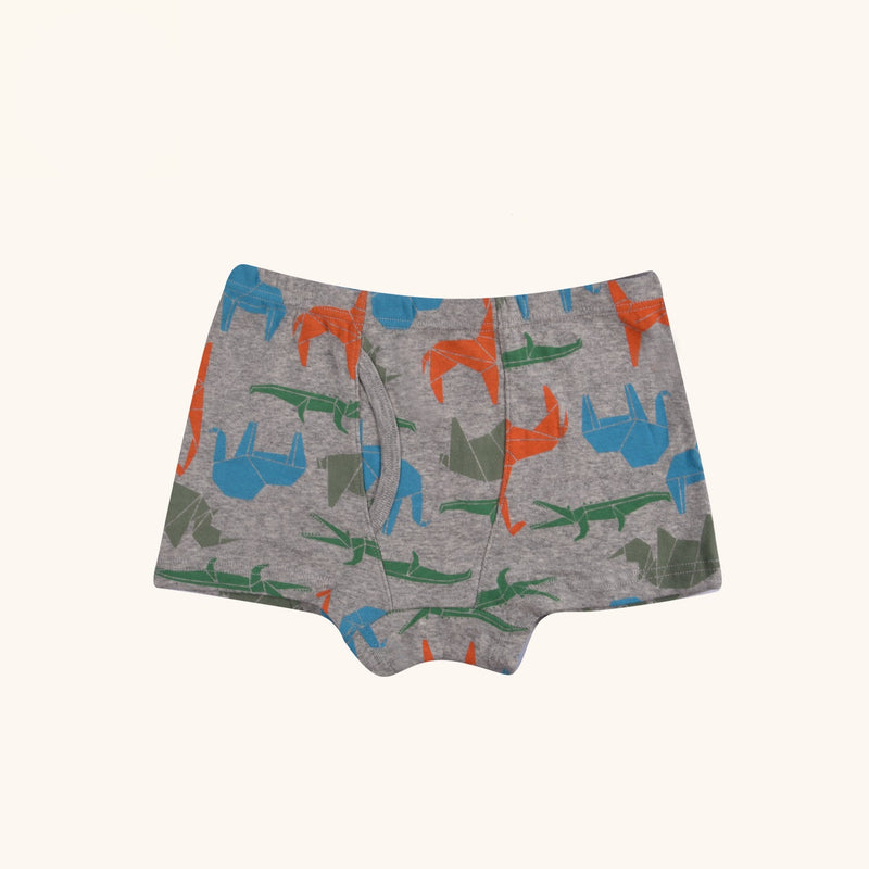 BRIO Boxer Briefs for Boys