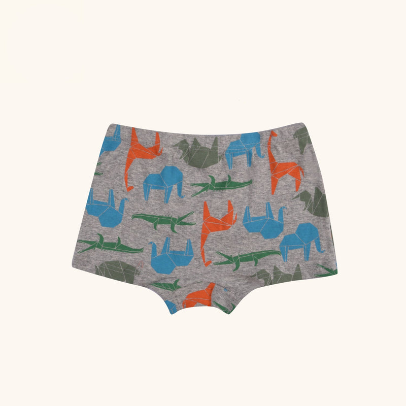 BRIO Boxer Briefs for Boys